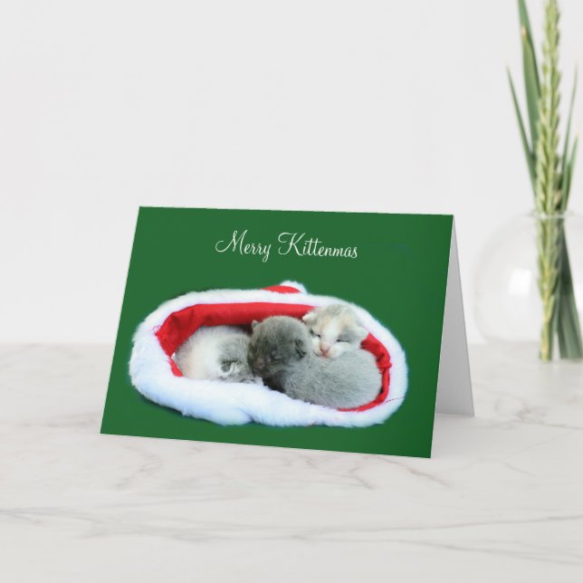 Merry Kittenmas Holiday Card (Front)
