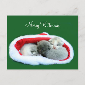 Merry Kittenmas Holiday Postcard