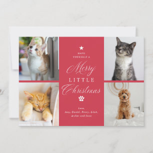 Merry Litte Christmas Pet 4 Photo Flat Holiday Card