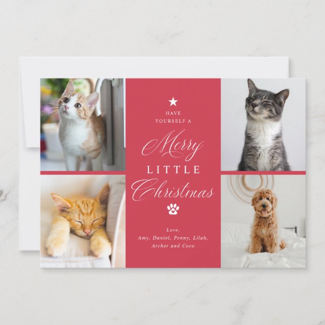 Merry Litte Christmas Pet 4 Photo Flat Holiday Card (Front)