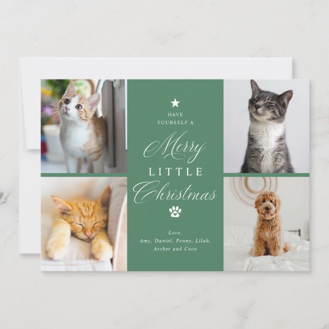 Merry Litte Christmas Pet 4 Photo Flat Holiday Card (Front)