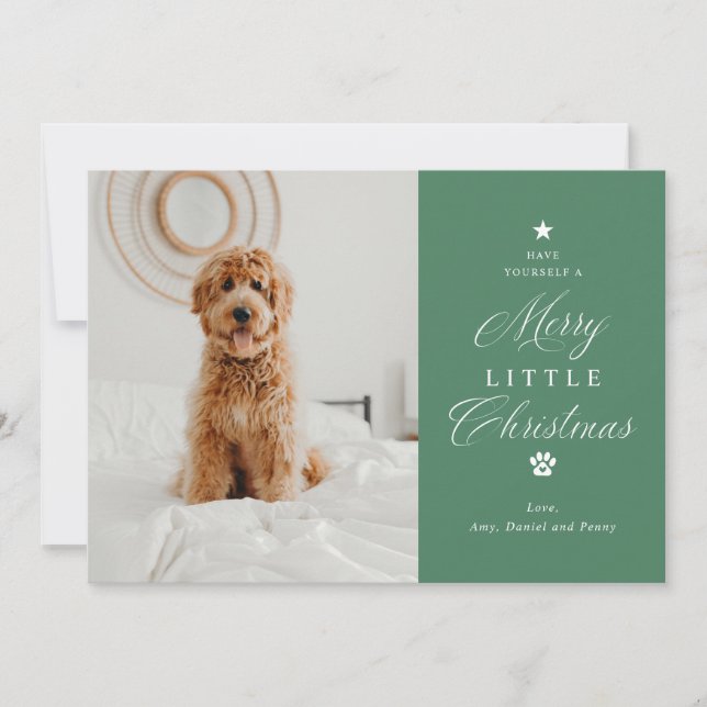 Merry Litte Christmas Pet Photo Flat Holiday Card (Front)