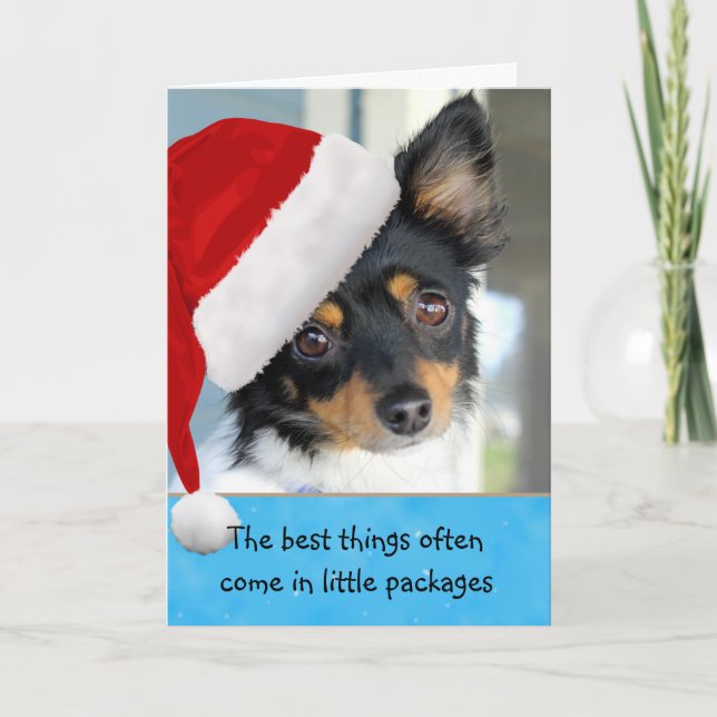Merry Little Christmas Cute Doggie Christmas Card (Front)