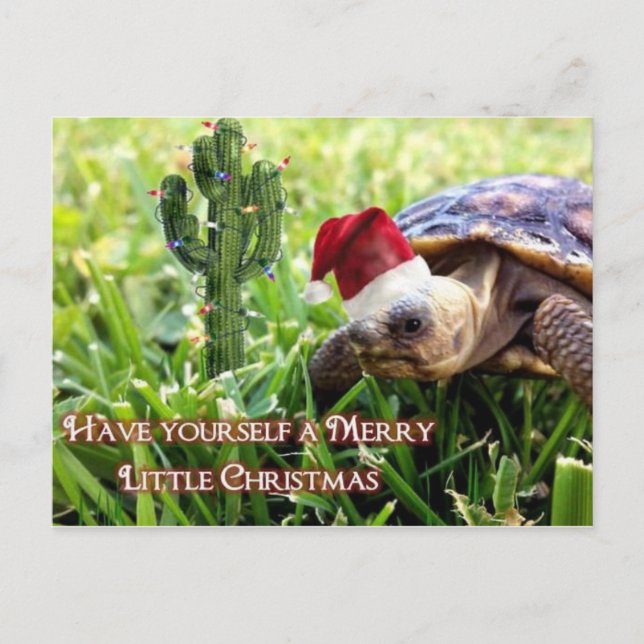 Merry Little Christmas - Desert Tortoise Postcard (Front)