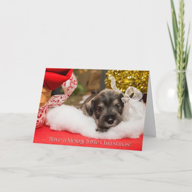 Merry Little Christmas Holiday Card (Front)