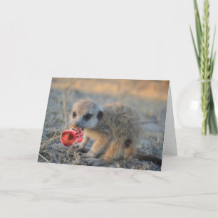 Merry Little Meerkat Christmas - Greeting Card