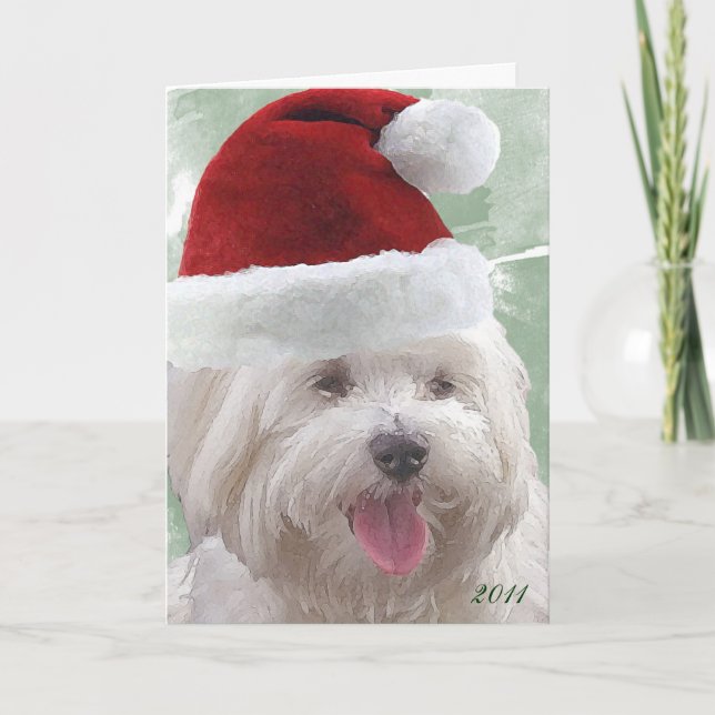 Merry Maltese Christmas Greeting Card (Front)