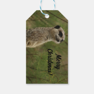 Merry Meercat Christmas Tag