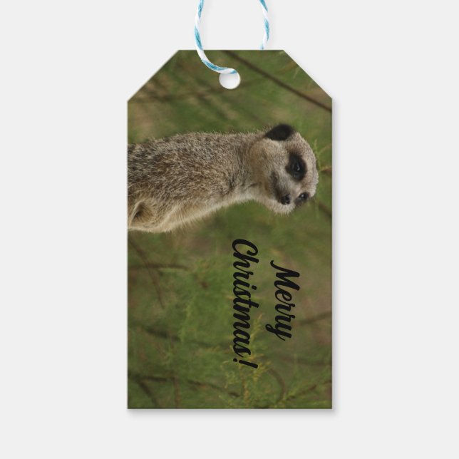 Merry Meercat Christmas Tag (Front)