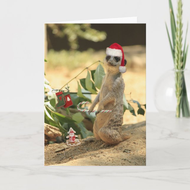 Merry Meerkat Holiday Card (Front)