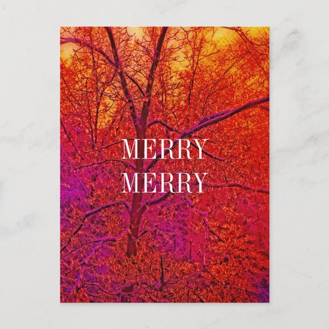 MERRY MERRY SNOW SCENE HOLIDAY POSTCARD (Front)