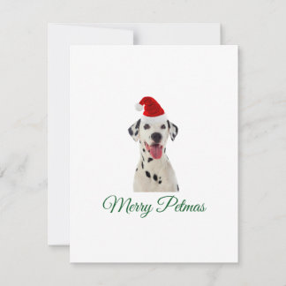 Merry Petmas Dalmatian dog Christmas holiday card