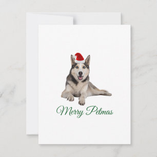 Merry Petmas husky holiday Christmas card