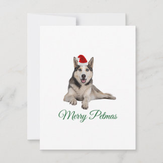 Merry Petmas husky holiday Christmas card
