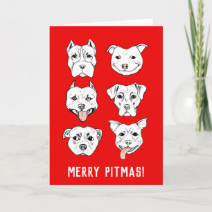 Merry Pitmas   Pit Bull Dog Faces Christmas Holiday Card