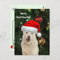 Merry Postcrossing From Crystal the Husky Dog