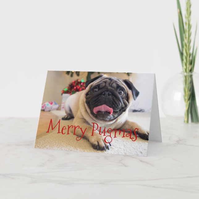 Merry Pugmas Christmas card (Front)
