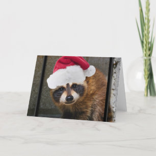 Merry Racoon Christmas Holiday Card