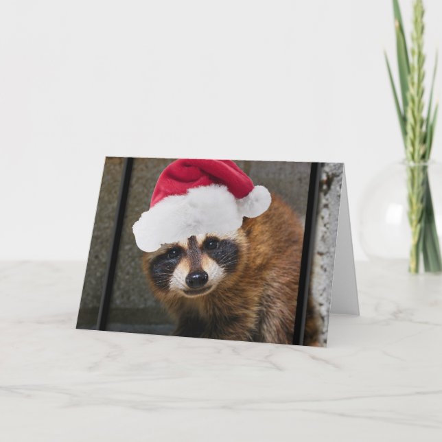 Merry Racoon Christmas Holiday Card (Front)