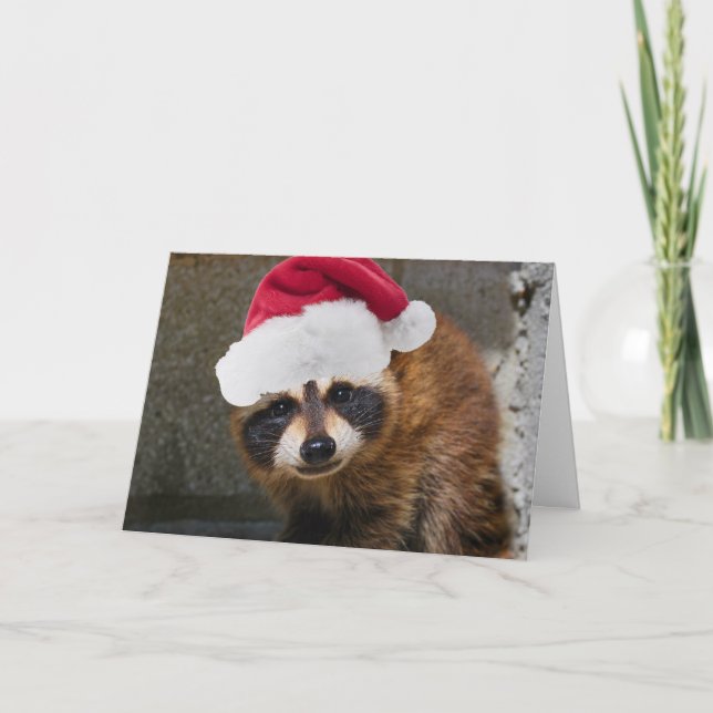 Merry Racoon Christmas Holiday Card (Front)
