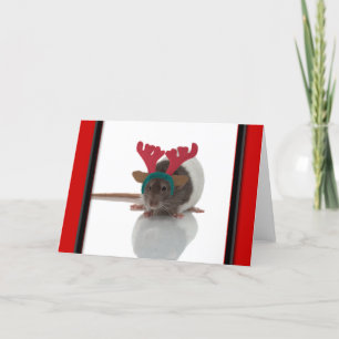 Merry Ratmas Holiday Card