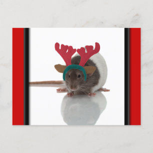 Merry Ratmas Holiday Postcard