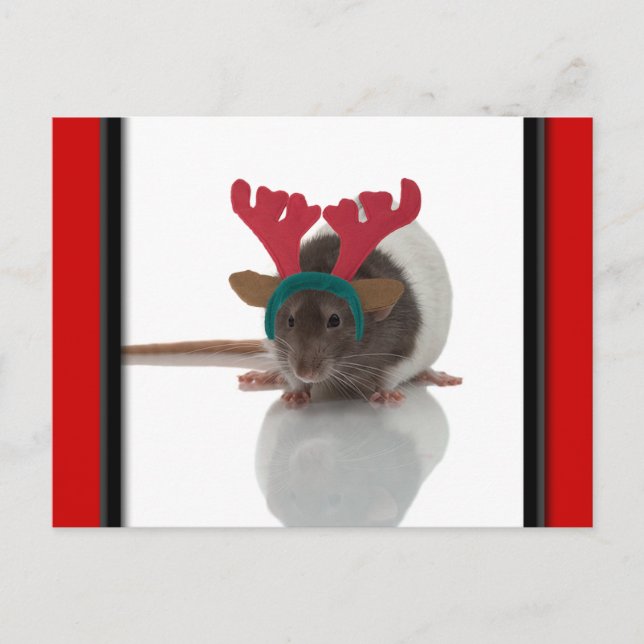 Merry Ratmas Holiday Postcard (Front)