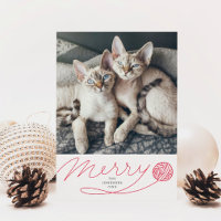 Merry Red Yarn Ball Cat Photo