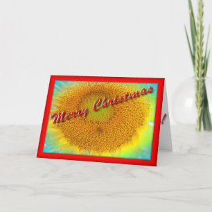 Merry Sunflower Christmas Card