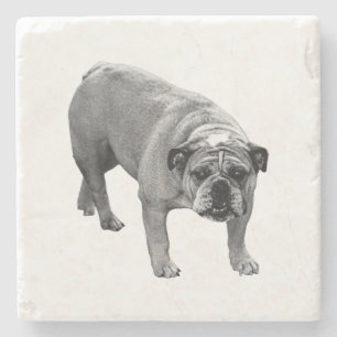 Merry Table Bulldog Stone Coaster