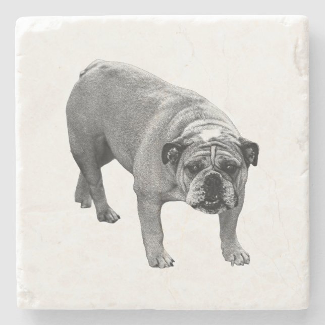 Merry Table Bulldog Stone Coaster (Front)