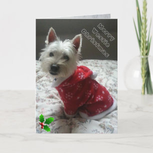 Merry Westie Christmas Card for your consideration