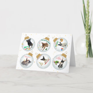 Merry - Woofmas Christmas Card