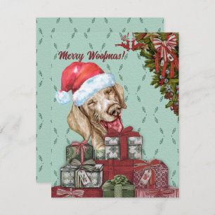 Merry Woofmas! Funny Dachshund Santa Hat Christmas Card
