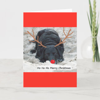 Merry Xmas Holiday Card