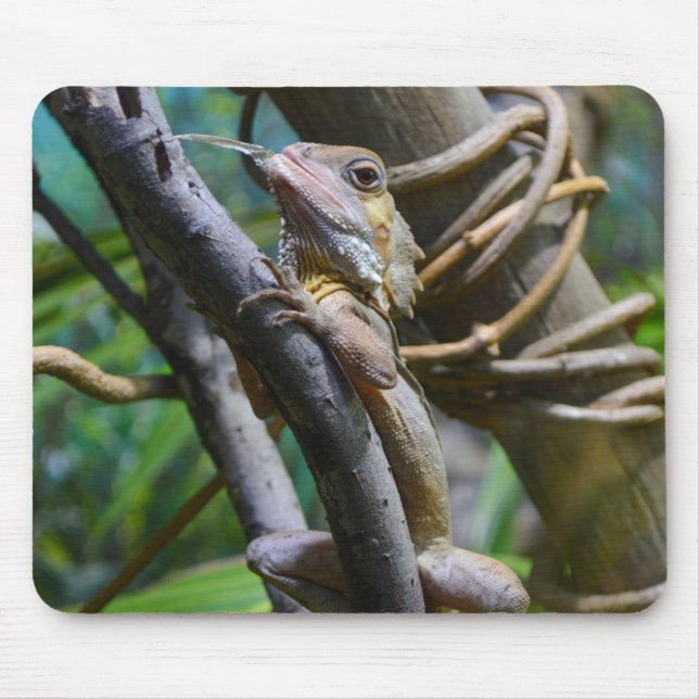 Merten's Water Monitor Mouse Mat (Front)