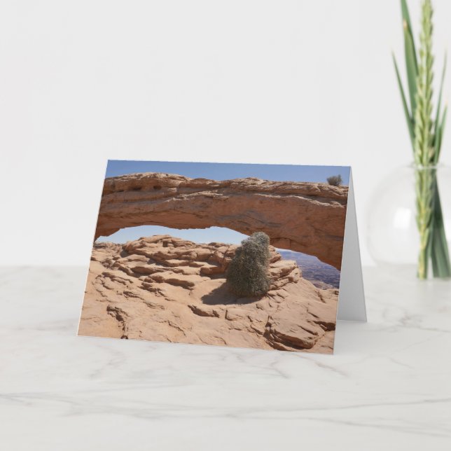 Mesa Arch and Tumbleweed at Canyonlands Card (Front)