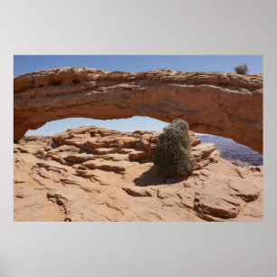 Mesa Arch and Tumbleweed at Canyonlands Poster