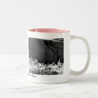 Mesa Verde National Park 2 Pictures Two-Tone Coffee Mug