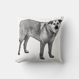 mesh calm poise, tibetan mix cushion