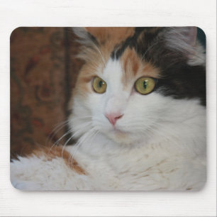 Mesmerised Feline Mouse Mat
