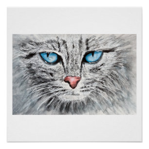 Mesmerising blue-eyed cat portrait poster