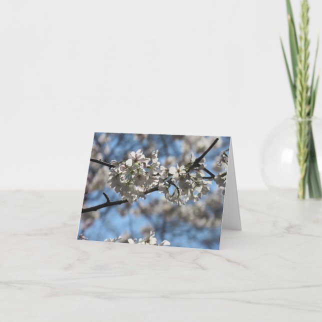 Mesmerising Cherry Blossom Greeting Card (Front)