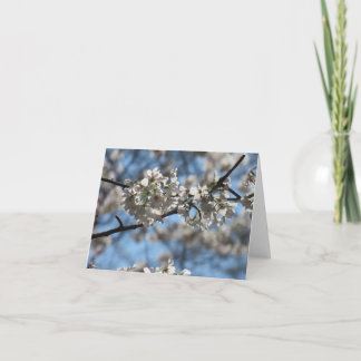 Mesmerising Cherry Blossom Greeting Card