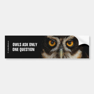 Mesmerising Golden Eyes of a Spectacled Owl Bumper Sticker