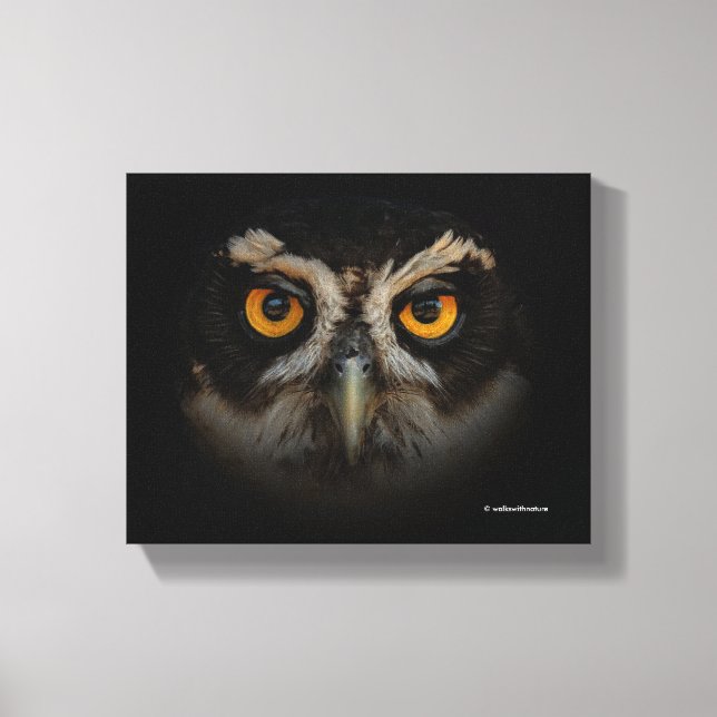 Mesmerising Golden Eyes of a Spectacled Owl Canvas Print (Front)