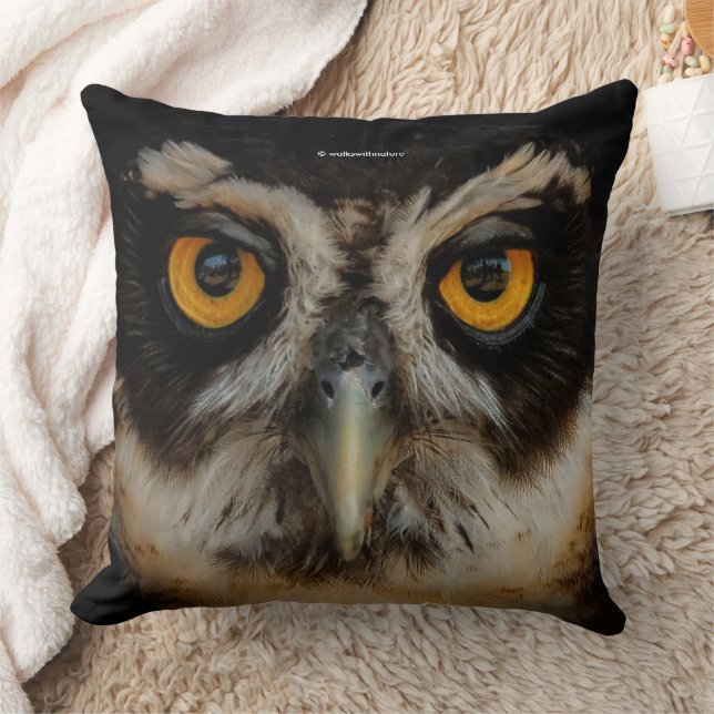 Mesmerising Golden Eyes of a Spectacled Owl Cushion (Blanket)