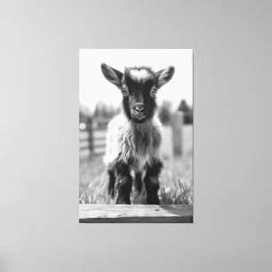 Mesmerising Monochromatic Baby Goat Portrait Canvas Print