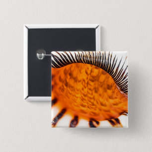 Mesmerising seashell 15 cm square badge