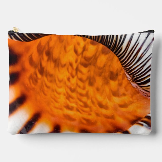 Mesmerising seashell accessory pouch (Front)